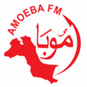 Radio Amoeba FM V2