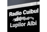 Radio Cuibul Lupilor Albi