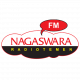 NAGASWARA Pop