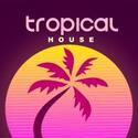 Spinner - Tropical House