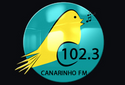 Canarinho FM 102.3 Mhz (Divinésia - MG) (ZYE339)