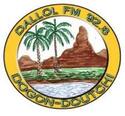 Radio Dallol 92.8 Dogondoutchi