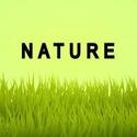 Radio Spinner - Nature