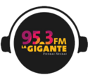 La Gigante (Piedras Negras) - 95.3 FM - XHGN-FM - Piedras Negras, Veracruz