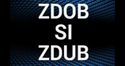 Zdob & Zdub Radio