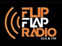 Flip flap Radio