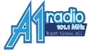 A1-RADIO-1011MHz-Bolgatanga