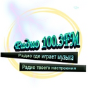 100.3 FM